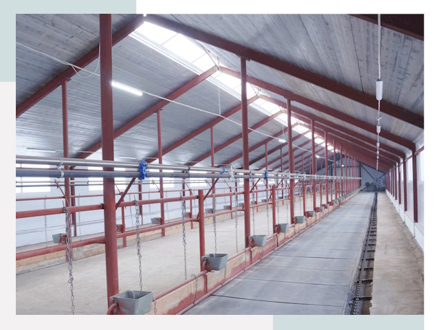 Строительство коровников в Кинели от 611 руб.