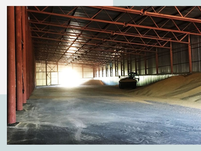 Строительство зернохранилищ в Кинели